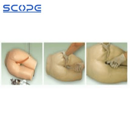 SC-H35 Enema and Assisted Defecation Model