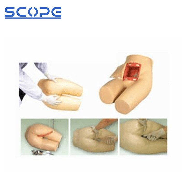 SC-H35 Enema and Assisted Defecation Model