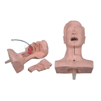 SC-H85 Advanced Sputum Suction Training Medical Model