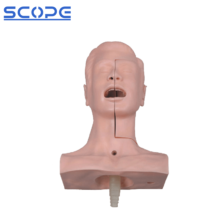 SC-H85 Advanced Sputum Suction Training Medical Model