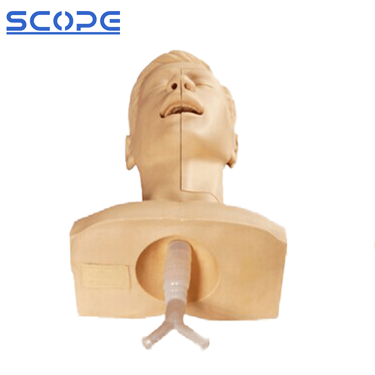 SC-H85 Advanced Sputum Suction Training Medical Model