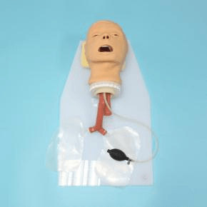 SC-J50 Trachea Intubation Training Model 4