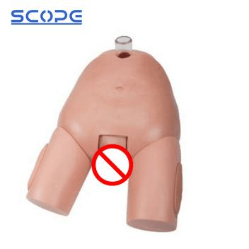 SC-H29E Male Bladder Puncture Simulator