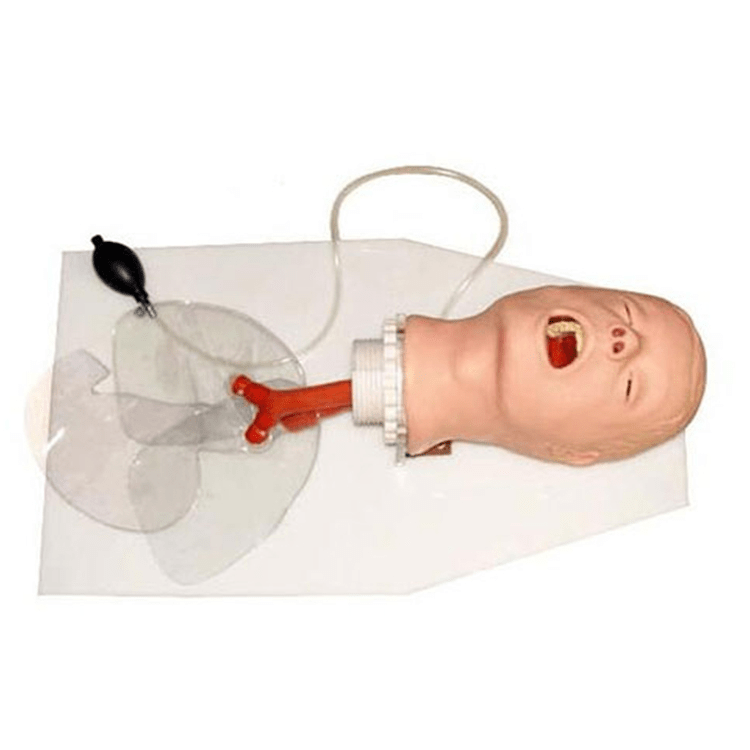 SC-J50 Trachea Intubation Training Model 5