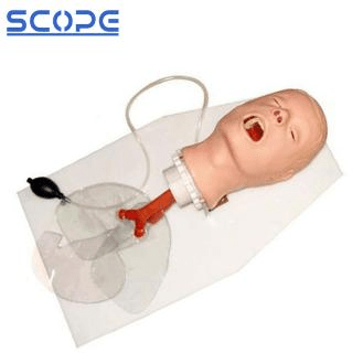 SC-J50 Trachea Intubation Training Model 6