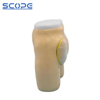 SC-H4T Advanced Hip Muscle Injection and Anatomical Structure Model