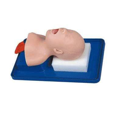 SC-J2A Neonate Head for Trachea Intubation Model 4