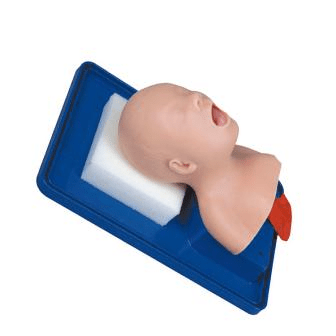 SC-J2A Neonate Head for Trachea Intubation Model 5