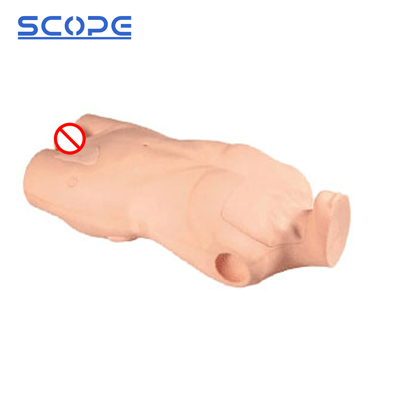 SC-L68A Full-featured Central Vein Puncture and Injection Truncus Manikin 2