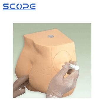 SC-H1T Buttocks Intramuscular Injection Simulator