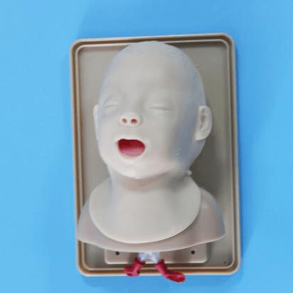 SC-J3A Advanced Infant Head for Trachea Intubation Model 3