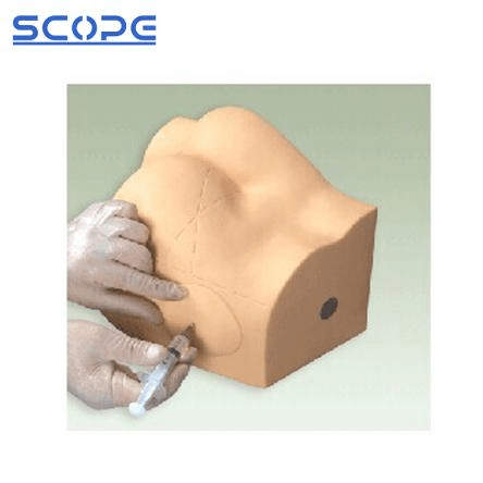 SC-H1T Buttocks Intramuscular Injection Simulator