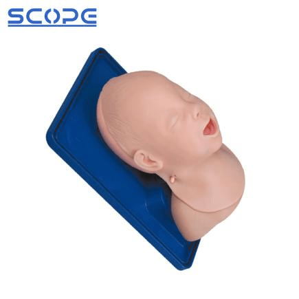 SC-J3A Advanced Infant Head for Trachea Intubation Model 4