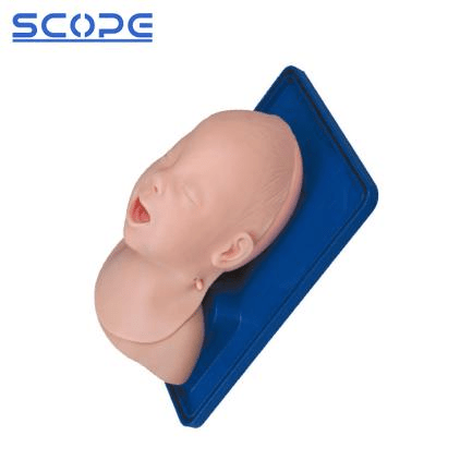 SC-J3A Advanced Infant Head for Trachea Intubation Model 5