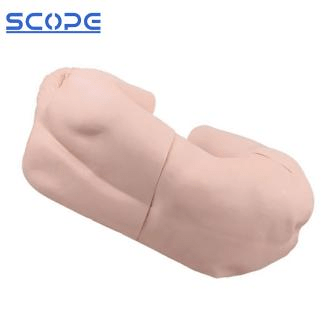 SC-CK811 Vertebra Lumbalis Puncture Training Manikin 3