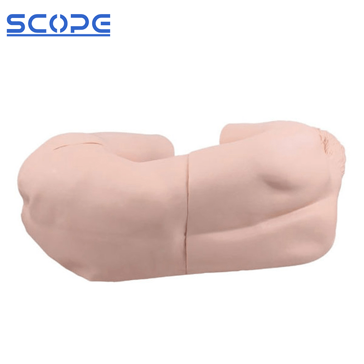 SC-CK811 Vertebra Lumbalis Puncture Training Manikin 4