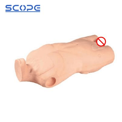 SC-L68A Full-featured Central Vein Puncture and Injection Truncus Manikin 3