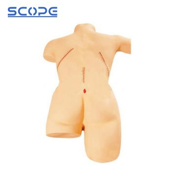 SC-LF5 Surgical Suture and Bind-Up Display Model 3