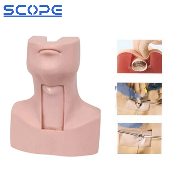 SC-J58 Advanced Tracheostomy Model 2