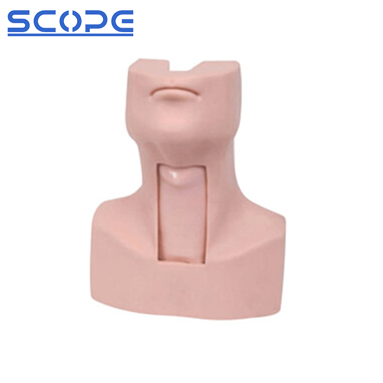 SC-J58 Advanced Tracheostomy Model 3