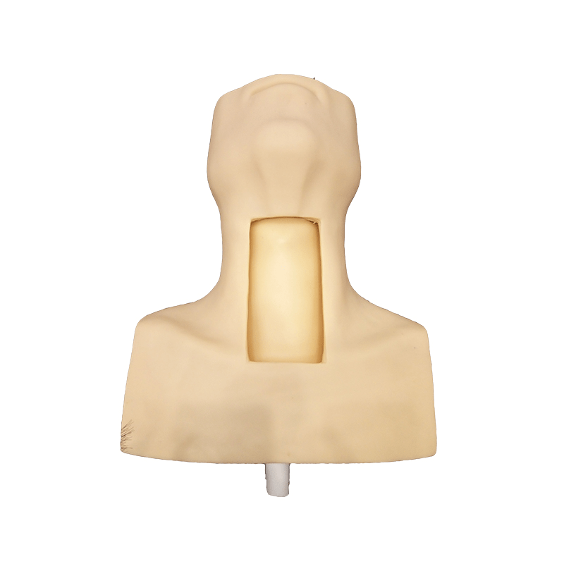 SC-J58 Advanced Tracheostomy Model 4