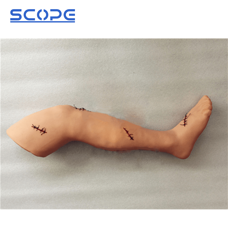 SC-LF2 Senior Surgical Leg Suture Training Model 2