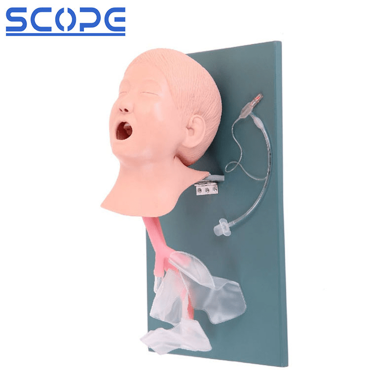 SC-J4A Advanced Child Trachea Intubation Model 2