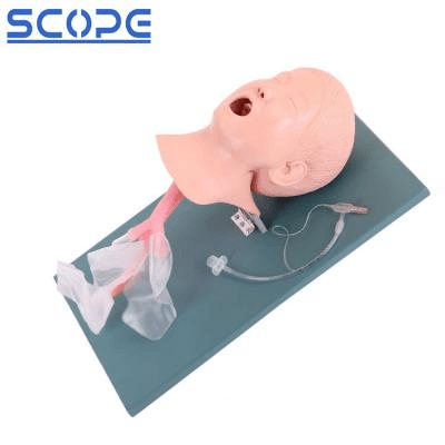 SC-J4A Advanced Child Trachea Intubation Model 3