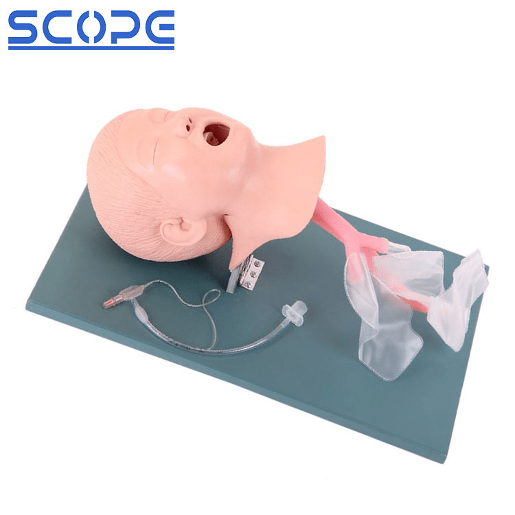 SC-J4A Advanced Child Trachea Intubation Model 4