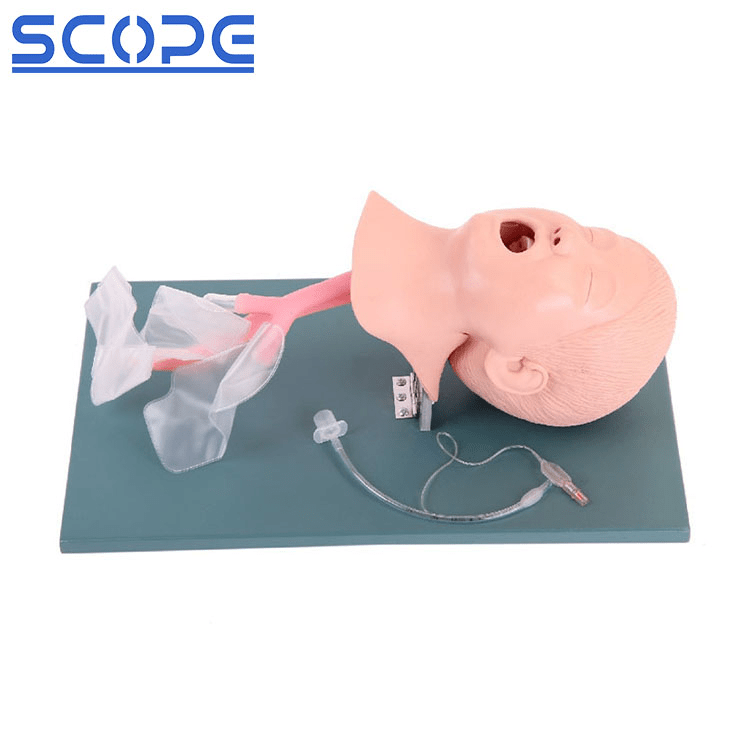 SC-J4A Advanced Child Trachea Intubation Model 5