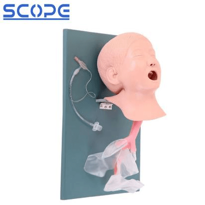 SC-J4A Advanced Child Trachea Intubation Model 6