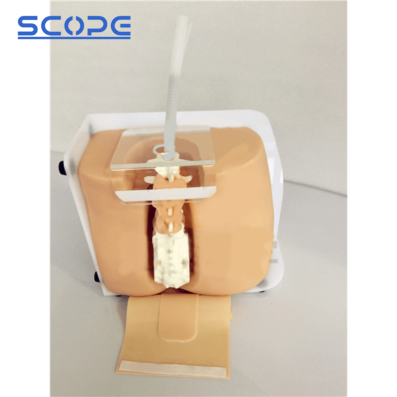 SC-L60 Spine Puncture Model 3