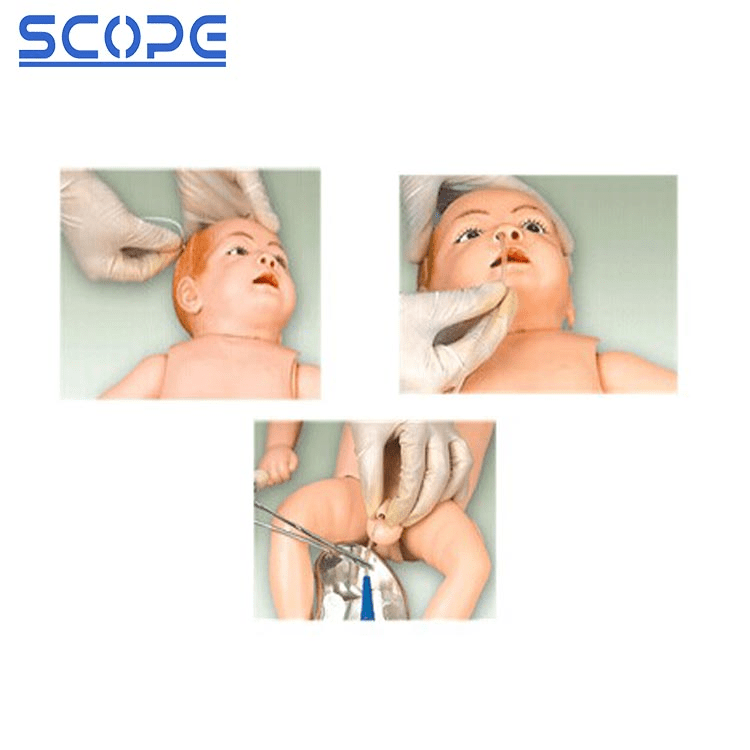 SC-H140 Senior Infant Nursing Model