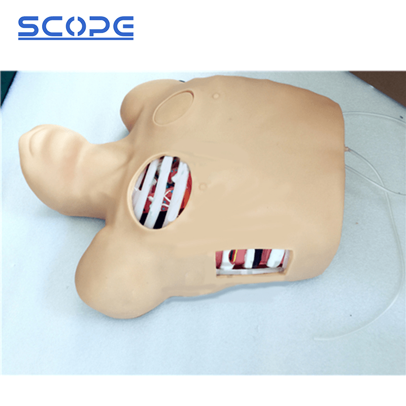 SC-L66 Thorax Puncture Drainage Model 3