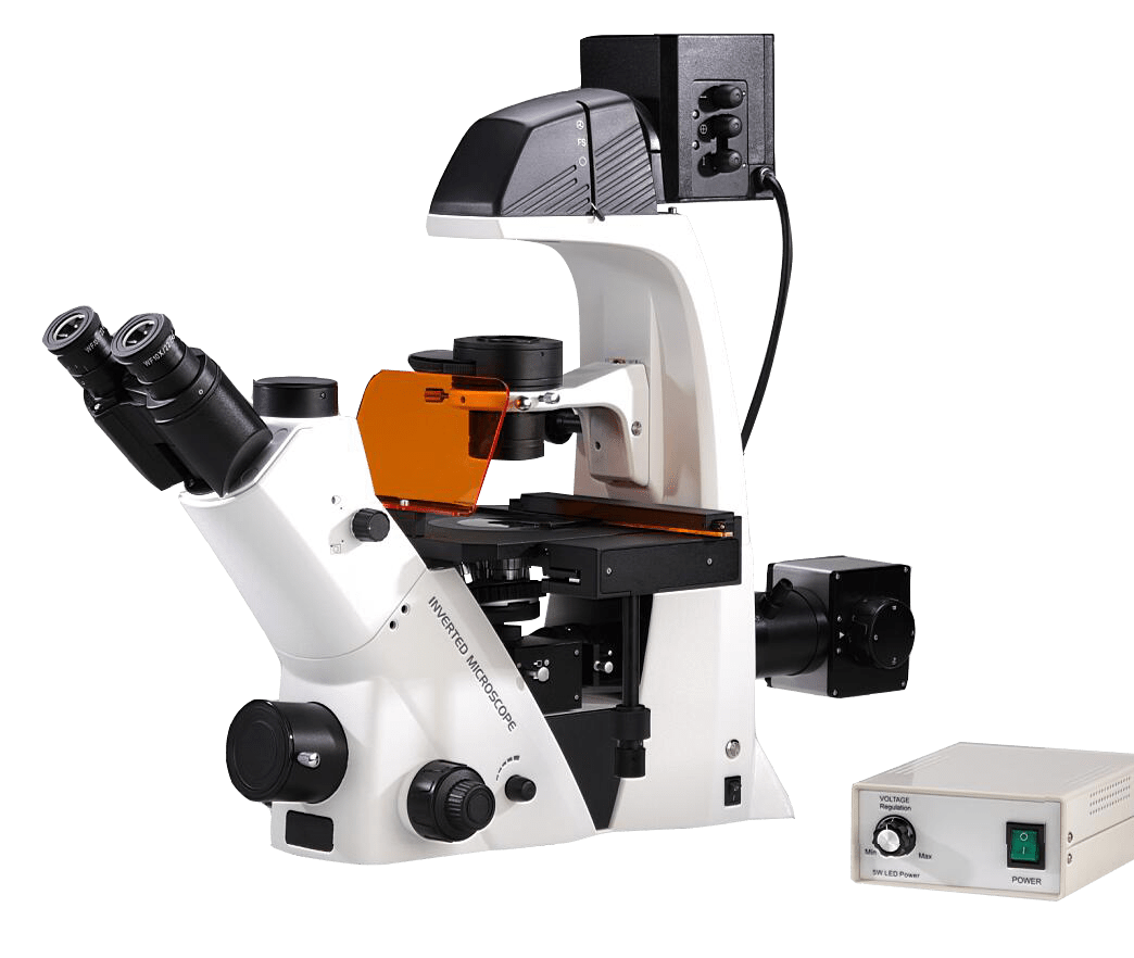 BDS500-FL Inverted Fluorescence Microscope 1