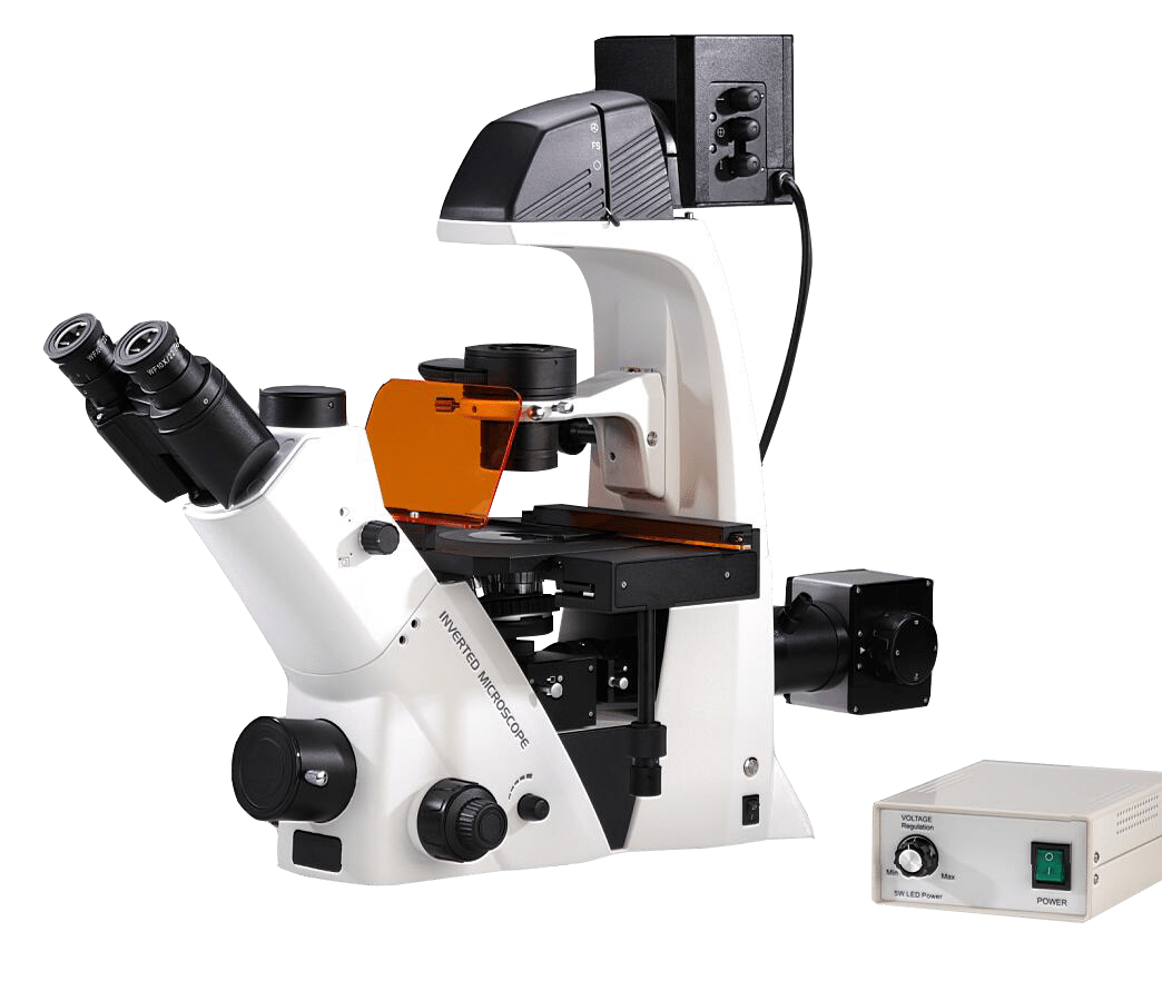 BDS500-FL Inverted Fluorescence Microscope