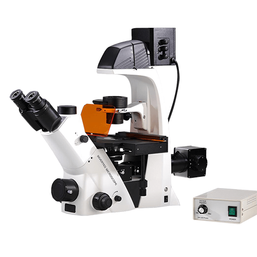 BDS500-FL Inverted Fluorescence Microscope