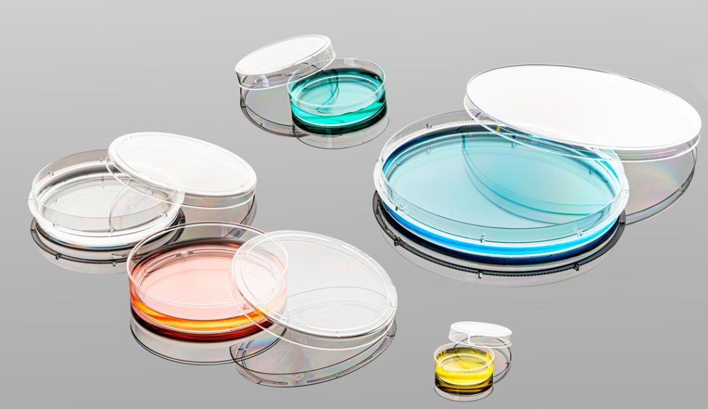 Cell Culture Dishes