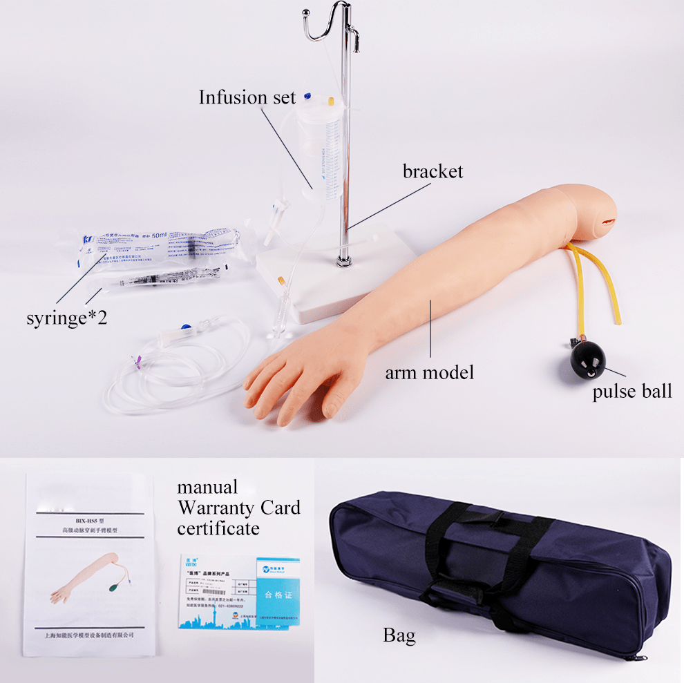 SC-HS5 Arm Artery Puncture and Intramuscular Injection Training Model