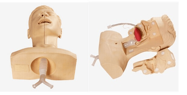 SC-H85 Advanced Sputum Suction Training Medical Model