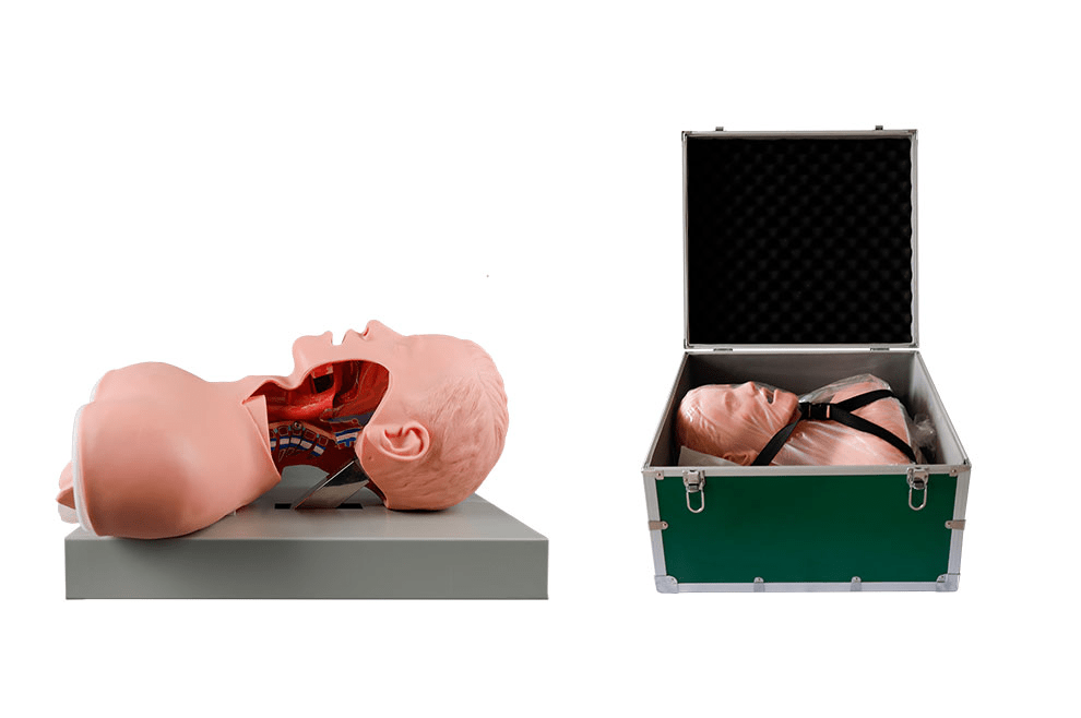 SC-J51 Electronic Airway Intubation Model (with Alarm Device)