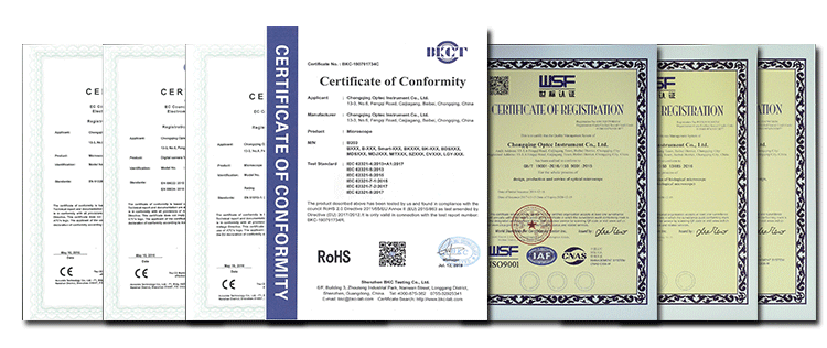 certificate 2