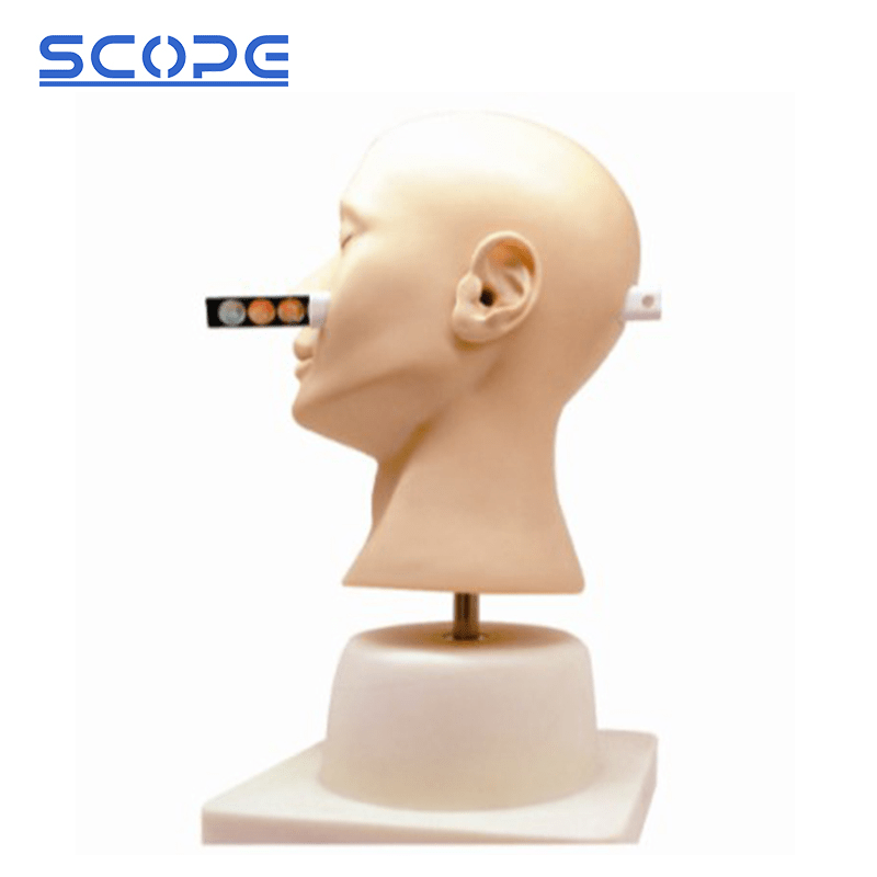 SC-LV41 Advanced Ear Diagnosis Training Model 4