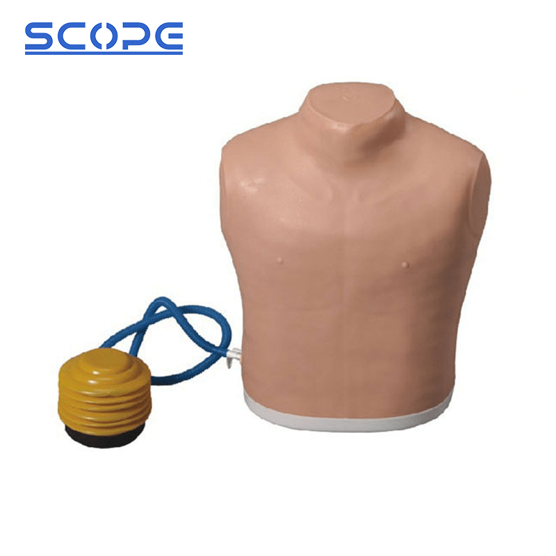 SC-LQ7 Pneumothorax Treatment Manikin 4