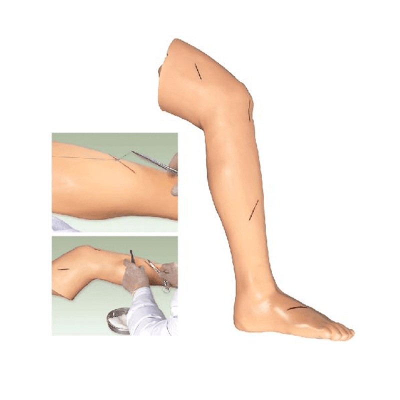 SC-LF2 Senior Surgical Leg Suture Training Model 5