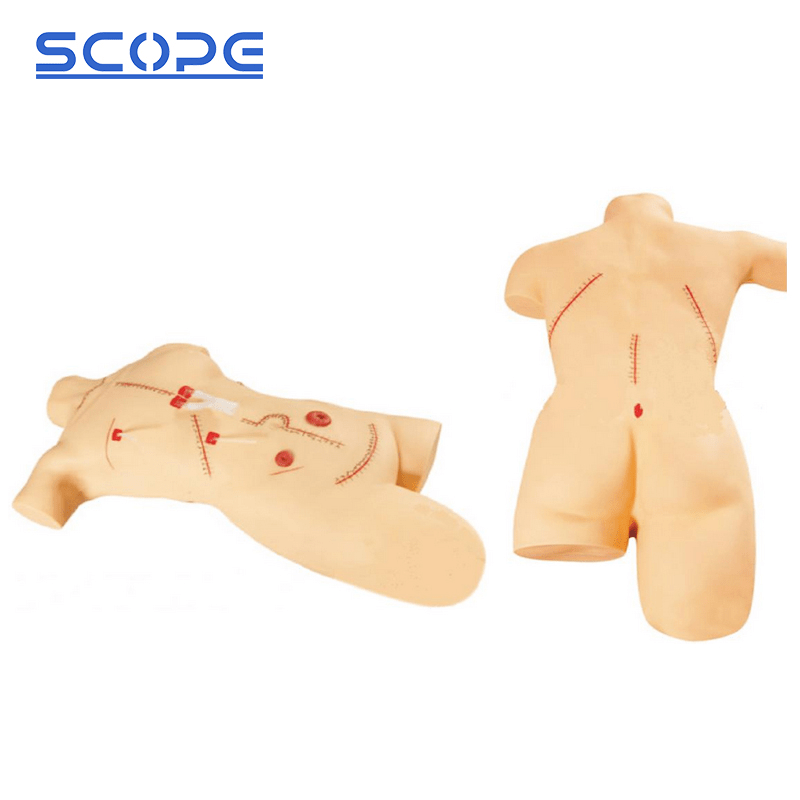 SC-LF5 Surgical Suture and Bind-Up Display Model 4