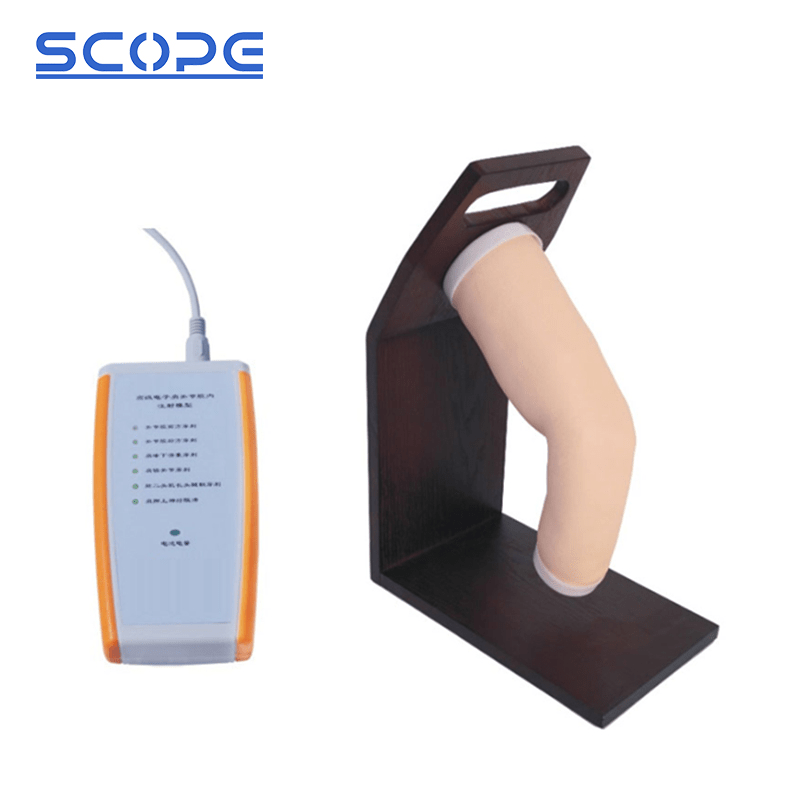 SC-CK20134 Elbow Joints Intracavity Injection Training Model