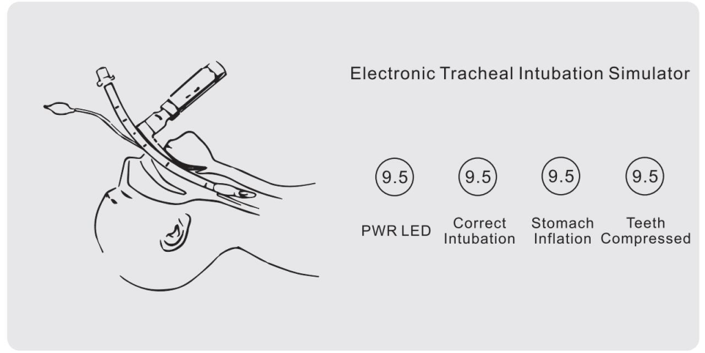 SC-J50 Trachea Intubation Training Model 7