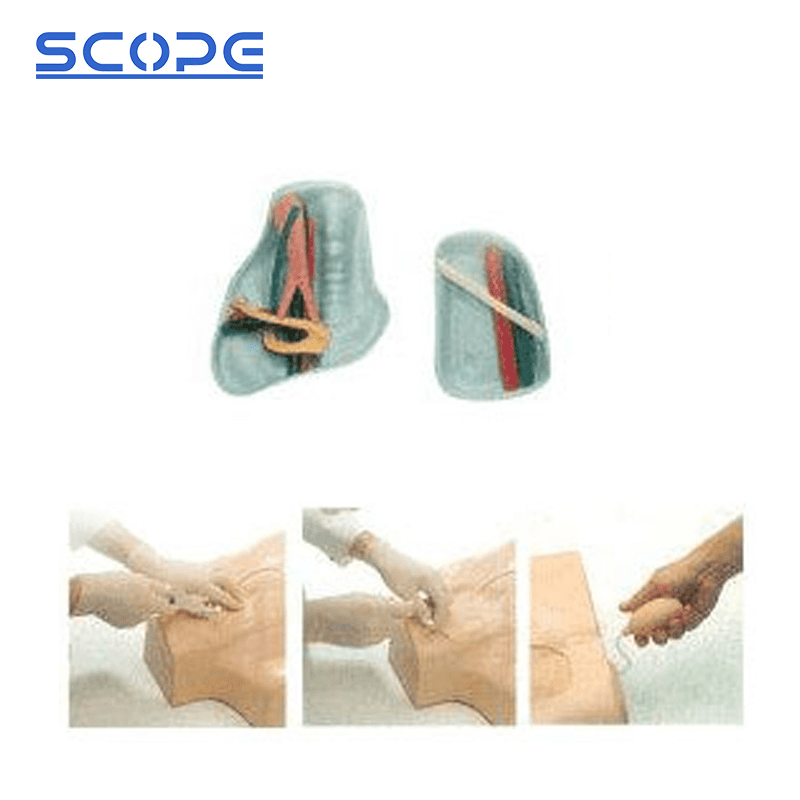 SC-L68A Full-featured Central Vein Puncture and Injection Truncus Manikin 5