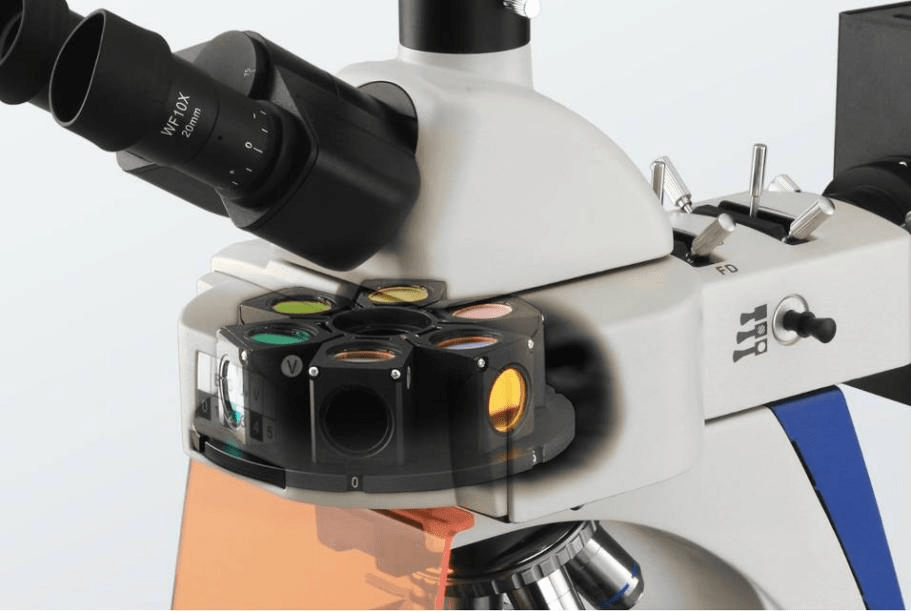 Six-hole disk fluorescence unit